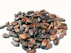 香草瓜子怎么做?香草瓜子商業(yè)配方工藝,香草瓜子制作技巧,香草瓜子做法: