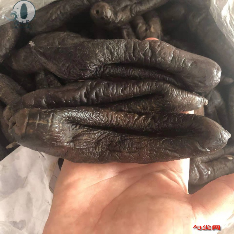 微信圖片_20220315085408