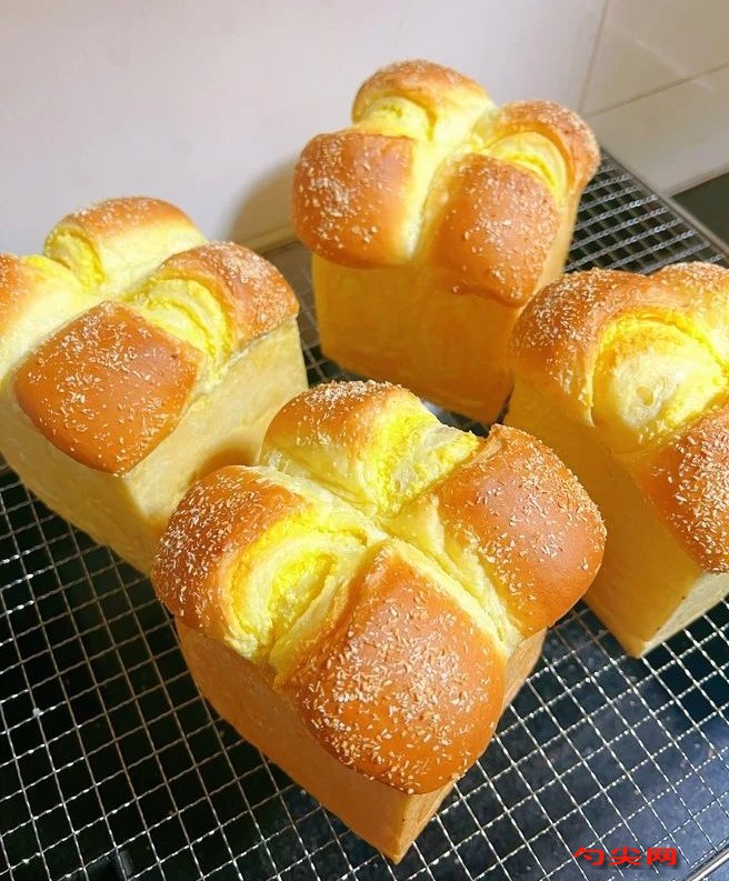 微信圖片_20230529094705