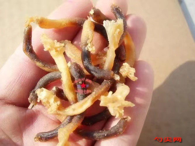 微信圖片_20230617090316