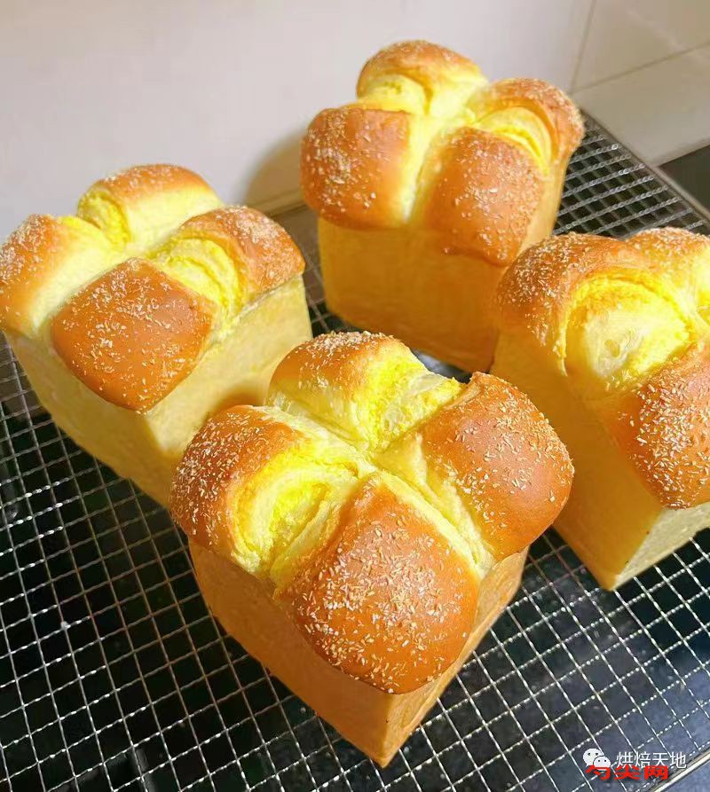 微信圖片_20230619094208