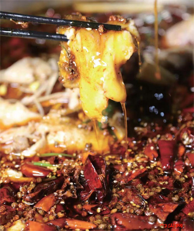 微信圖片_20231222101946