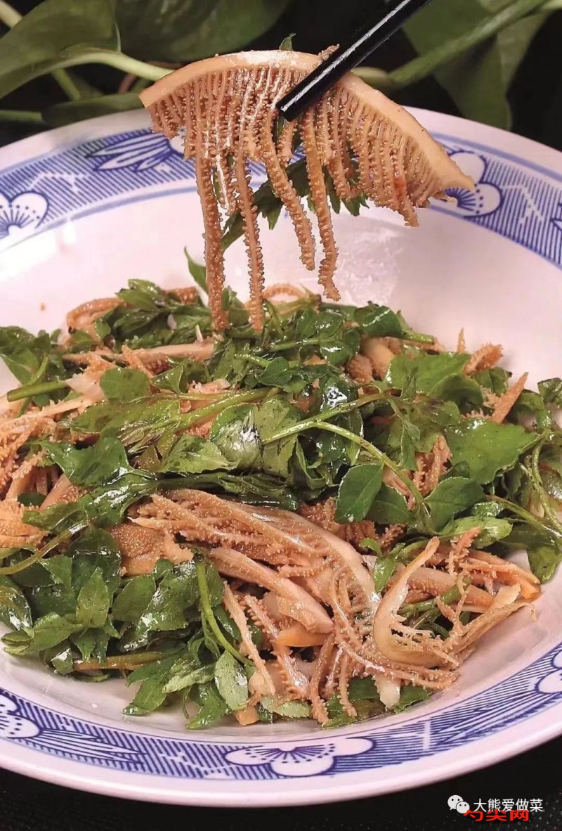 微信圖片_20240117094956