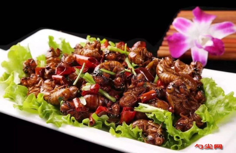 微信圖片_20240117134447