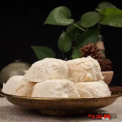 微信圖片_20240224145038