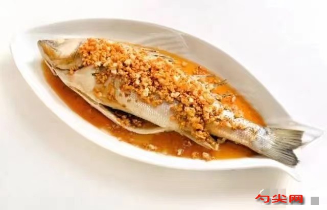 微信圖片_20240226140315