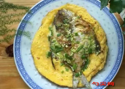 微信圖片_20240527144112