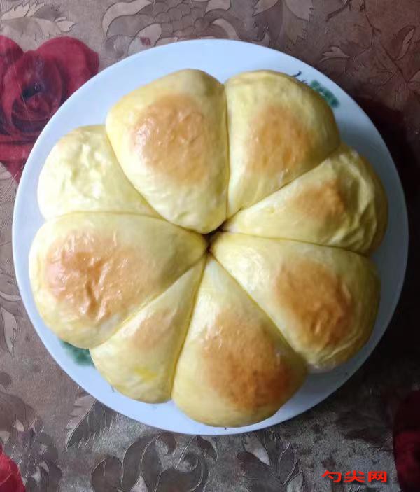 微信圖片_20240615163726