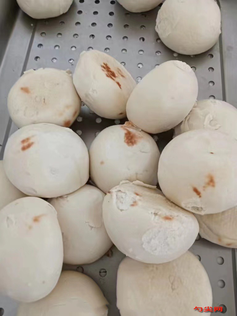 微信圖片_20240624085157