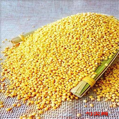 微信圖片_20240625093942