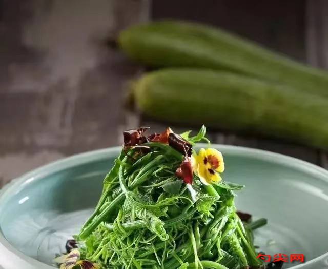 微信圖片_20240727161446