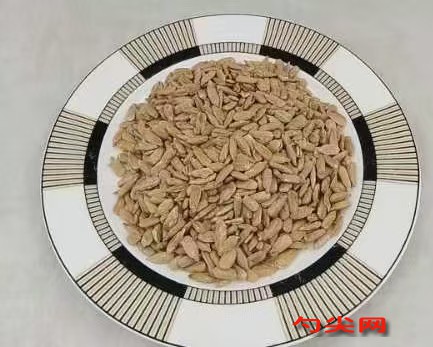 微信圖片_20241129095954