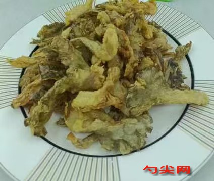 微信圖片_20241129104915