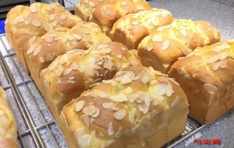 微信圖片_20241129142026