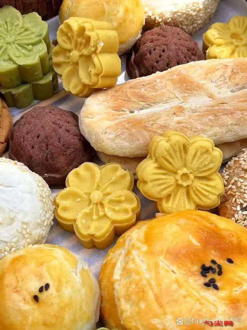 微信圖片_20250206101101