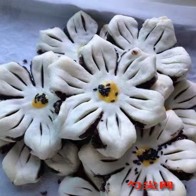 微信圖片_20250206154723