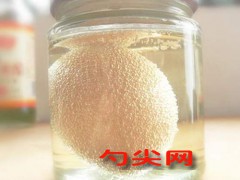 微信圖片_20250213153530