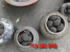 微信圖片_20250215092119