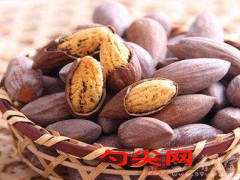 微信圖片_20250309111450