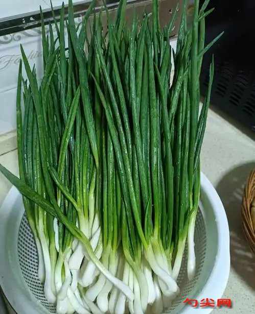 微信圖片_20250408150030