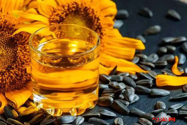 微信圖片_20250425141945