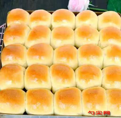 微信圖片_20251027102837_2739_5