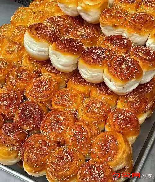 微信圖片_20251027103910_2740_5