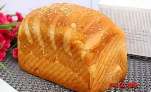 微信圖片_20251027145940_2755_5