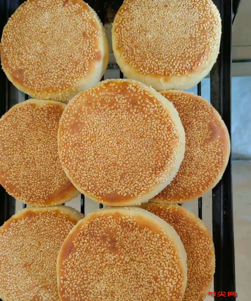 微信圖片_20251110101803_2960_5