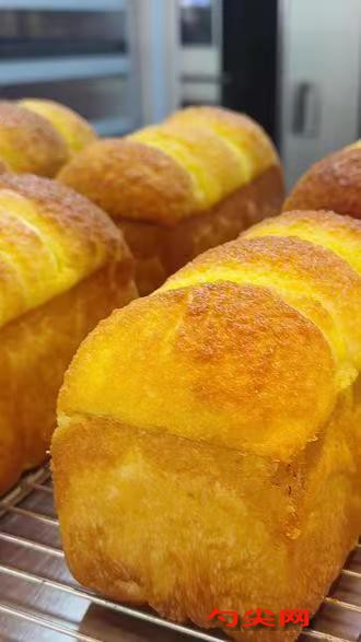 微信圖片_20251117124449_470_223