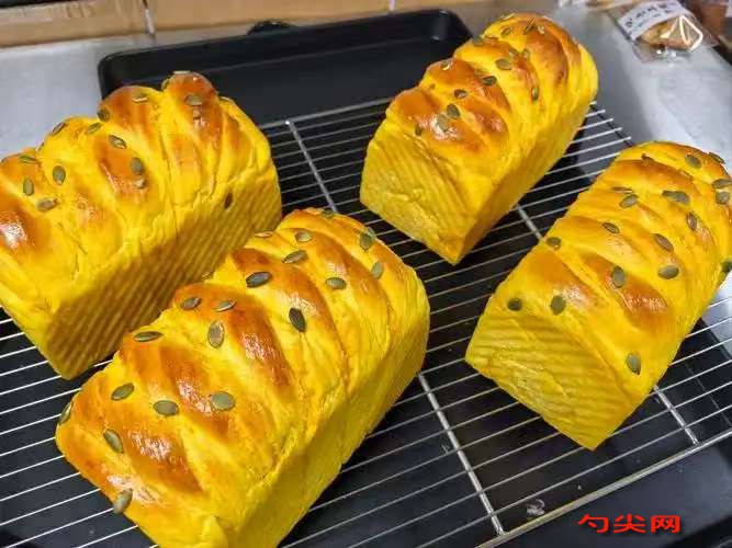 微信圖片_20251117124449_470_223