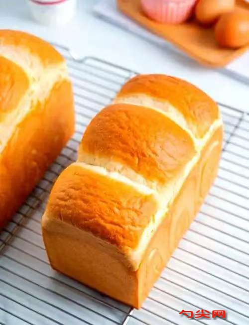 微信圖片_20251117124449_470_223