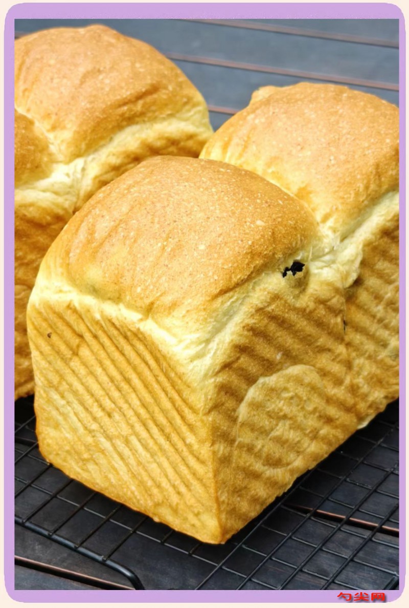 微信圖片_20251119115325_3262_5