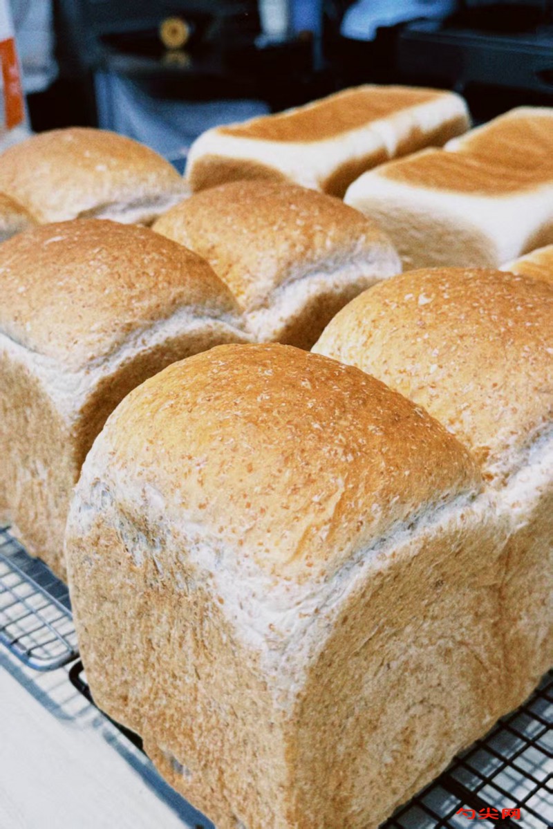 微信圖片_20251119115325_3262_5