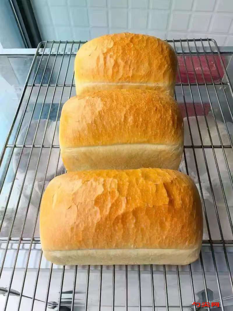 微信圖片_20251219133935_50_5