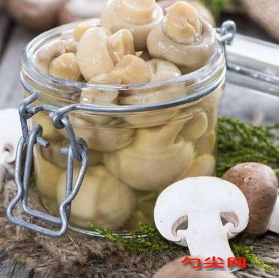 蘑菇罐頭