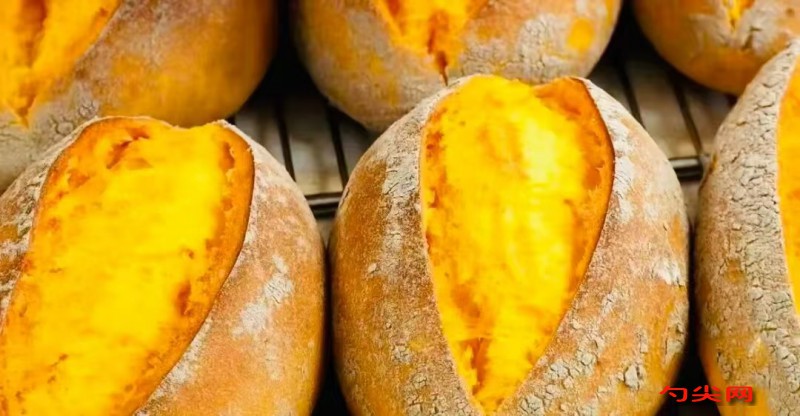 微信圖片_20251224115229